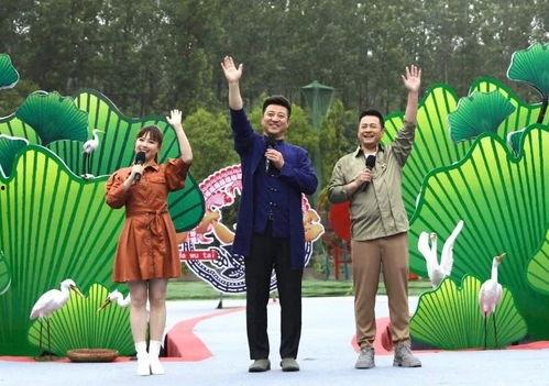 环球公馆爆料视频大全最新,揭秘幕后真相，带你走进神秘世界