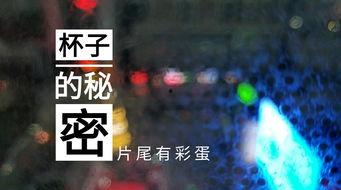 无锡饭店爆料视频最新